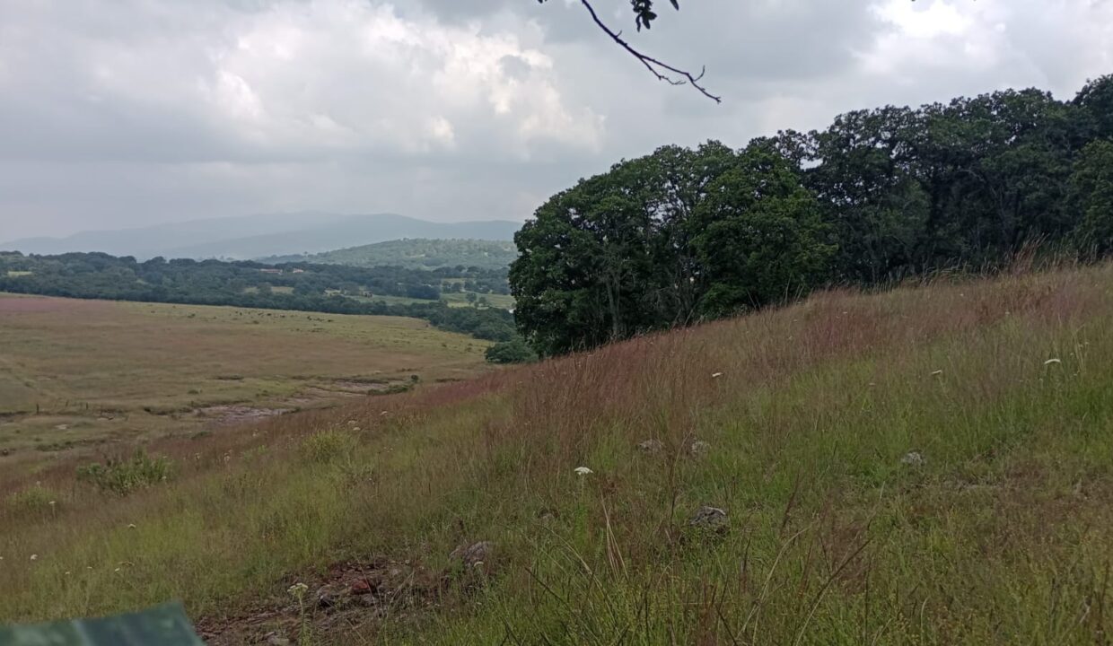 82f9e2e8-e577-4b5b-b0df-188c3ced8654